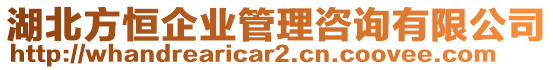 湖北方恒企業(yè)管理咨詢有限公司