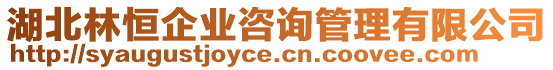 湖北林恒企業(yè)咨詢管理有限公司