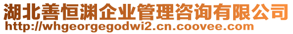 湖北善恒淵企業(yè)管理咨詢有限公司