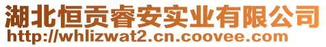 湖北恒貢睿安實業(yè)有限公司