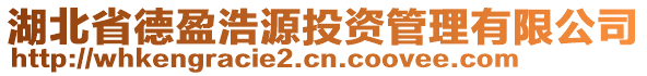 湖北省德盈浩源投資管理有限公司