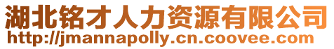 湖北銘才人力資源有限公司