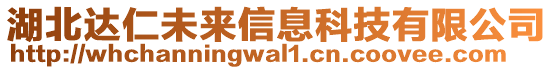 湖北達(dá)仁未來信息科技有限公司