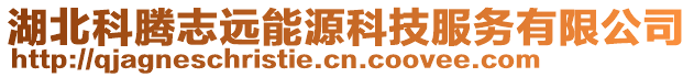 湖北科騰志遠能源科技服務有限公司