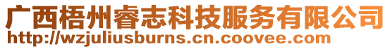 廣西梧州睿志科技服務有限公司