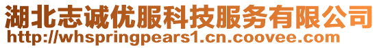 湖北志誠優服科技服務有限公司