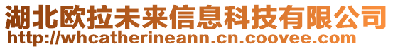 湖北歐拉未來信息科技有限公司