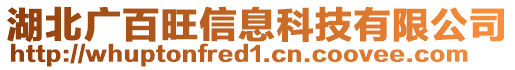 湖北廣百旺信息科技有限公司