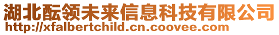 湖北醞領(lǐng)未來信息科技有限公司