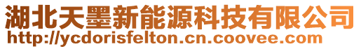 湖北天墨新能源科技有限公司