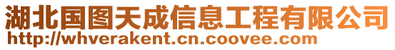 湖北國(guó)圖天成信息工程有限公司