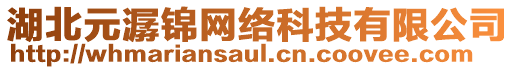 湖北元潺錦網(wǎng)絡(luò)科技有限公司