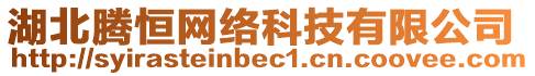 湖北騰恒網(wǎng)絡(luò)科技有限公司