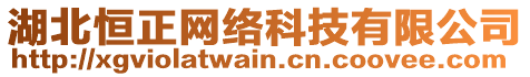 湖北恒正網(wǎng)絡(luò)科技有限公司