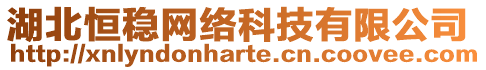 湖北恒穩(wěn)網(wǎng)絡(luò)科技有限公司