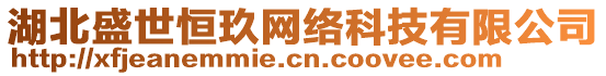 湖北盛世恒玖網(wǎng)絡(luò)科技有限公司