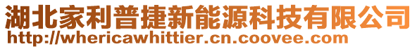 湖北家利普捷新能源科技有限公司