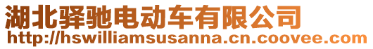 湖北驛馳電動車有限公司