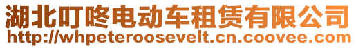 湖北叮咚電動(dòng)車租賃有限公司