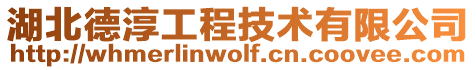 湖北德淳工程技術有限公司