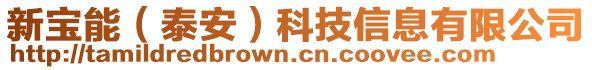 新寶能（泰安）科技信息有限公司