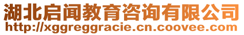 湖北啟聞教育咨詢有限公司