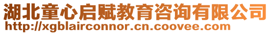 湖北童心啟賦教育咨詢有限公司