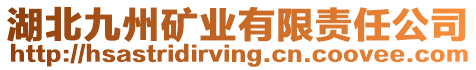 湖北九州礦業(yè)有限責任公司