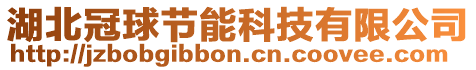 湖北冠球節(jié)能科技有限公司