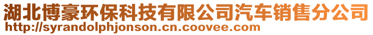 湖北博豪環(huán)保科技有限公司汽車銷售分公司