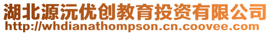 湖北源沅優(yōu)創(chuàng)教育投資有限公司