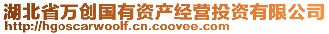 湖北省萬創(chuàng)國有資產(chǎn)經(jīng)營投資有限公司