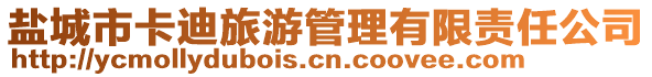 盐城市卡迪旅游管理有限责任公司