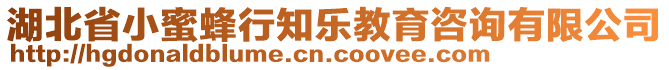 湖北省小蜜蜂行知樂教育咨詢有限公司