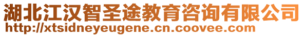 湖北江漢智圣途教育咨詢有限公司