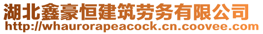 湖北鑫豪恒建筑勞務有限公司