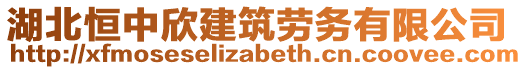 湖北恒中欣建筑勞務(wù)有限公司