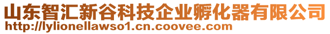 山東智匯新谷科技企業(yè)孵化器有限公司