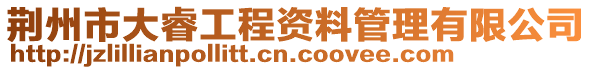 荊州市大睿工程資料管理有限公司