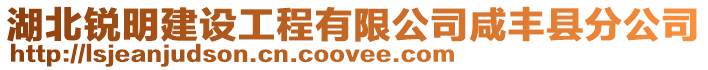 湖北銳明建設工程有限公司咸豐縣分公司
