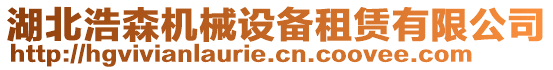 湖北浩森機(jī)械設(shè)備租賃有限公司