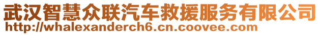 武漢智慧眾聯(lián)汽車救援服務有限公司