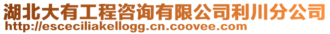 湖北大有工程咨詢有限公司利川分公司