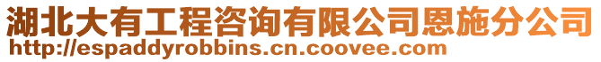 湖北大有工程咨詢有限公司恩施分公司