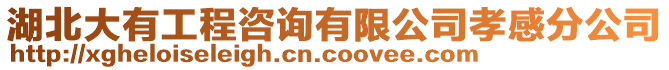 湖北大有工程咨詢有限公司孝感分公司