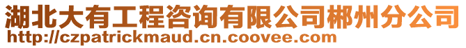 湖北大有工程咨詢有限公司郴州分公司