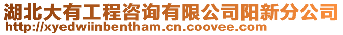 湖北大有工程咨詢有限公司陽(yáng)新分公司