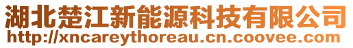 湖北楚江新能源科技有限公司