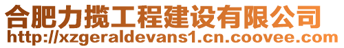 合肥力攬工程建設(shè)有限公司