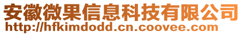 安徽微果信息科技有限公司